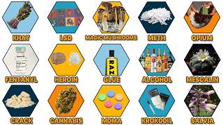 Every Drug Explained in 19 Minutes