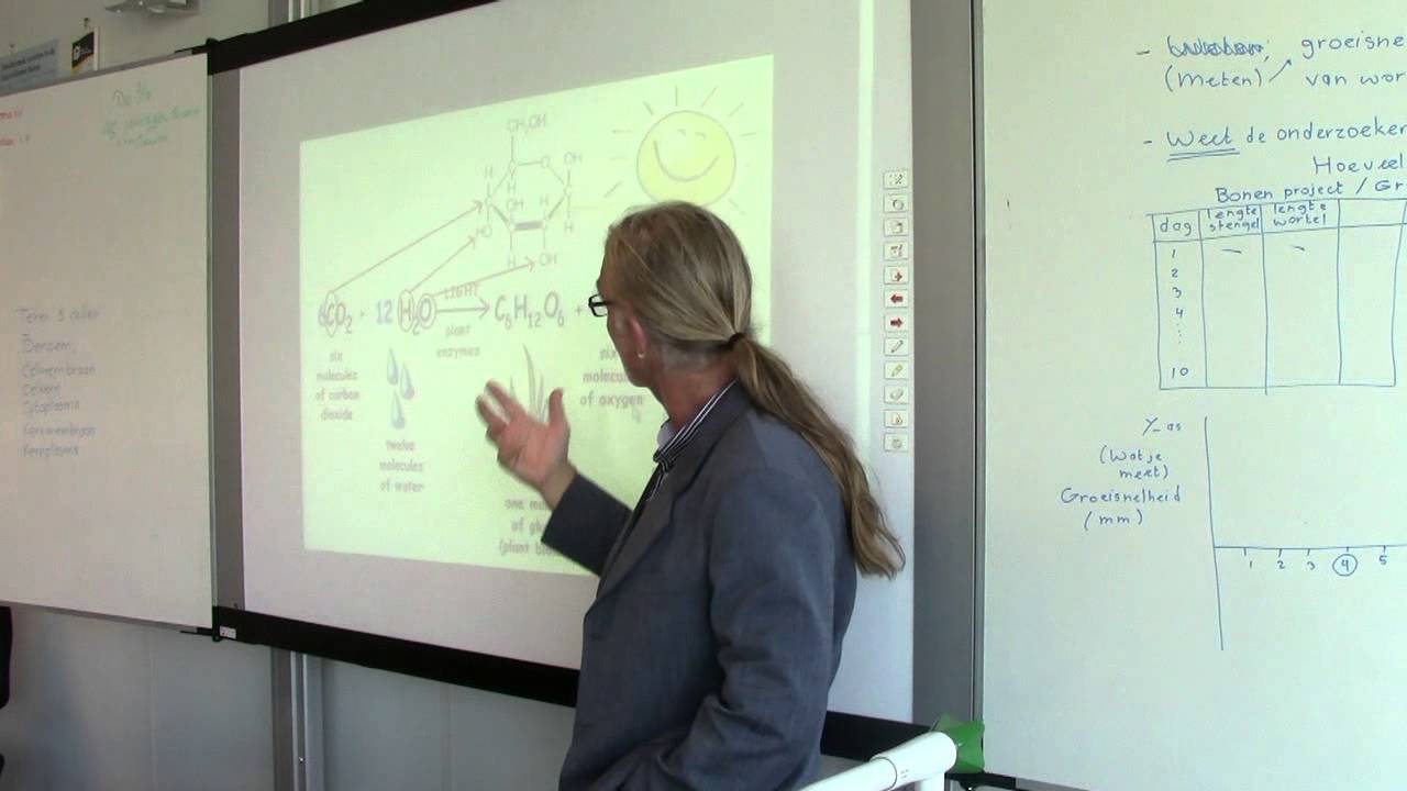 biologiepagina Assimilatie of fotosynthese