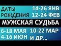 Мужской гороскоп даты рождения: с14до26 января / с12до24 февраля и другие см. описание. Чудинов