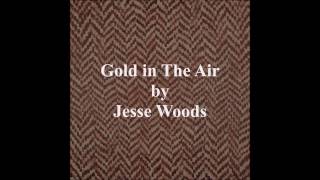Video thumbnail of "Gold In The Air by Jesse Woods Lyrics"