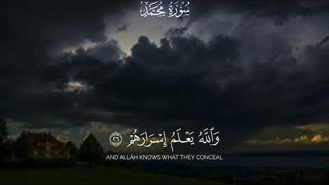آيات من الذكر الحكيم #  أفلا يتدبرون القرآن # سورة محمد #بصوت هادئ# المصحف