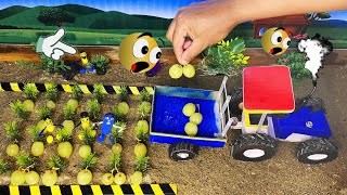 Diy mini tractor growing grapes seeds science project / diy tractor