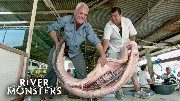 Jeremy Wade's Surprising Discoveries at LOCAL FISH MARKETS Around the Globe | River Monsters