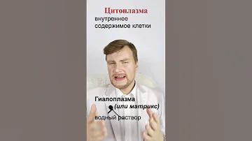 Цитоплазма. ЕГЭ Биология. ЕГЭ 2022.