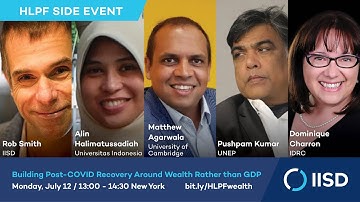 Building Post-COVID Recovery around Wealth rather than GDP?