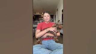 HOW TO POTTY TRAIN YOUR DACHSHUND 💩🧻 1