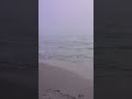 Brain Fog.. #beach #boondocking #campinglife #padreisland #travel #rvlife #tinyrv #sunrise #vibes