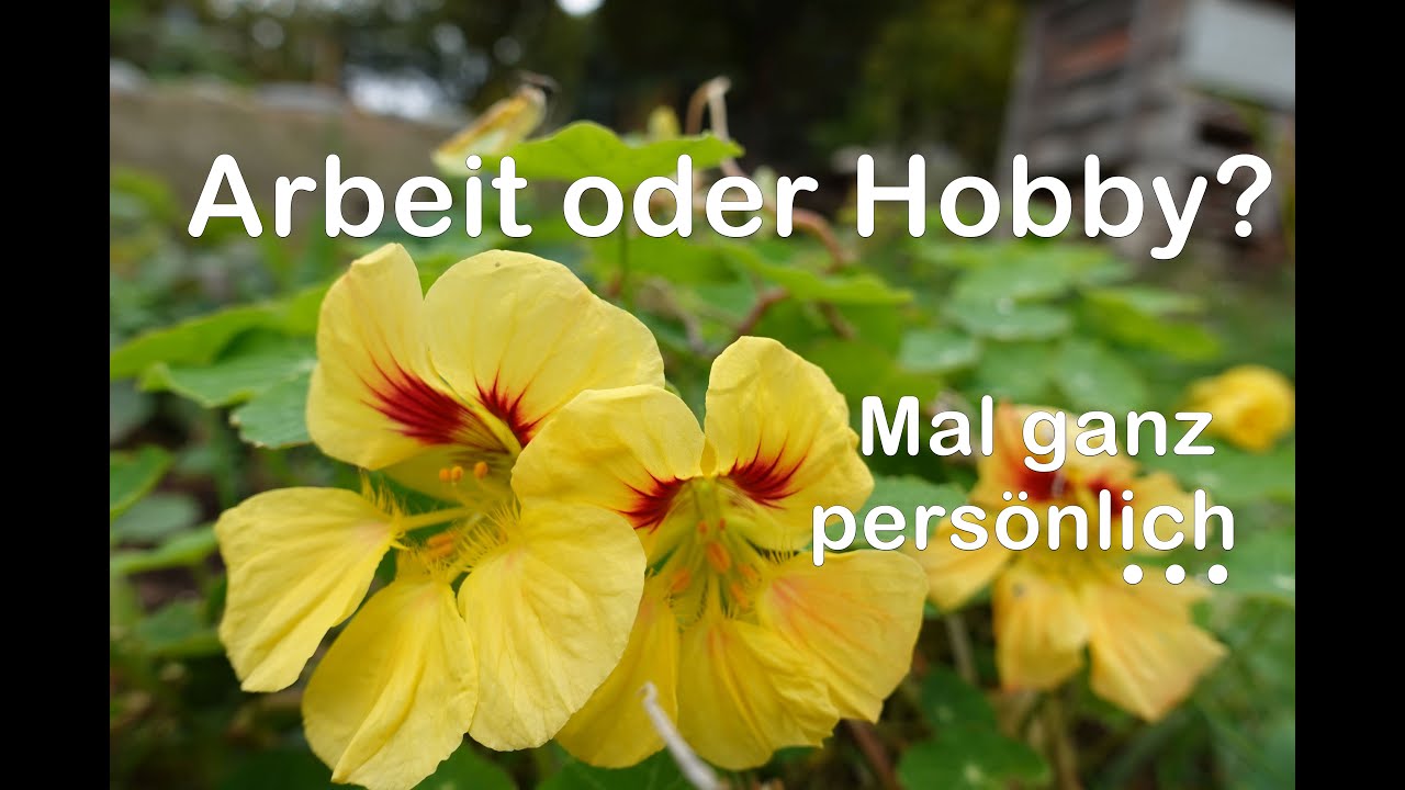 Wie lange schaffe ich das noch?