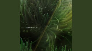 In Distant Places (Original Mix)