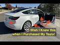 Tesla model 3 or y ppf on a budget