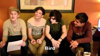 ONE DIRECTION Teaches You to Speak British! chords