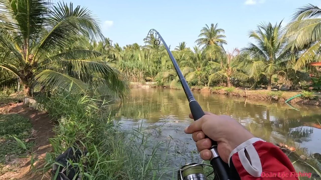 Câu Ngầm - Dính Cá Khán Giả Xem Quá Trời