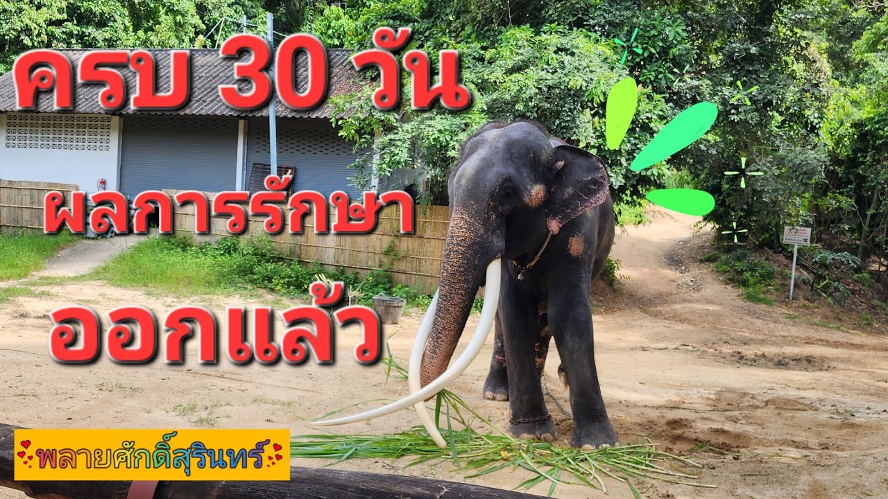 ผลประเมินเรื่อง ขา ออกแล้ว หลังครบ 30 วัน
