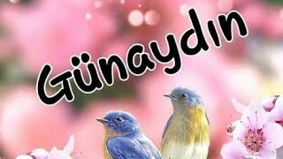 Geleydin Bir Çay Içimi Sen Çay Dökerdin, Ben De Içimi Günaydin