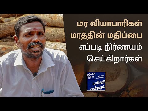 மர வியாபாரிகள் மரத்தின் மதிப்பை எப்படி நிர்ணயம் செய்கிறார்கள் | Cauvery Kookural