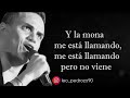 Contento y Enamorao, Silvestre Dangond - Letra