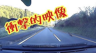 衝撃映像 Youtube