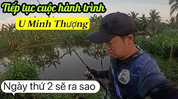 Câu cá lóc UMT với những cú táp rợn người . P2 