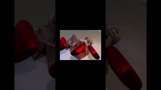 A box of Esh #cattoast #eshcabob #gif #gift #cat #americanshorthaircat