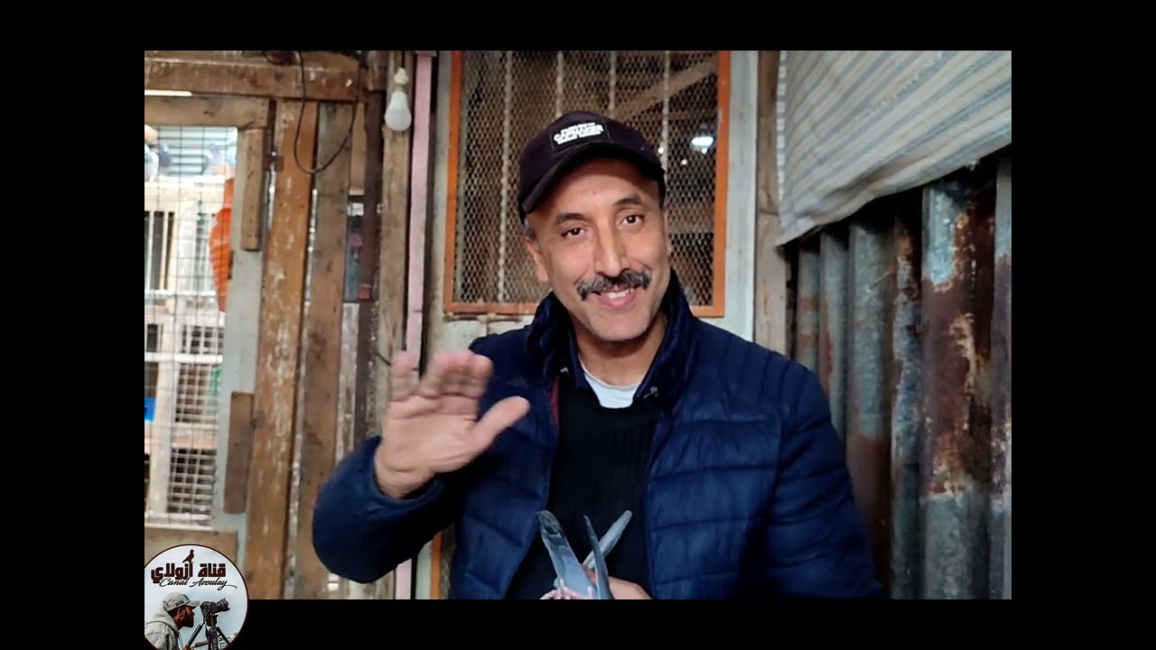 جميع حمام البطل الكبير إسماعيل كومحان للبيع 29/01/2024