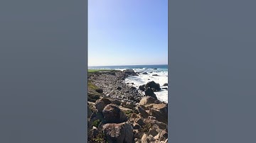 Thumbnail of Best spot on the 17 mile drive of California! #california #vlog #17miledrive #beach #naturelovers