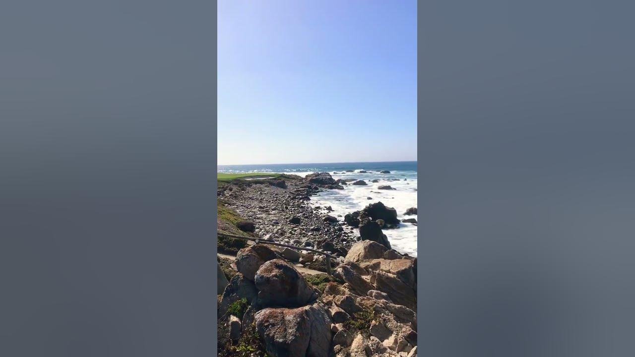 Best spot on the 17 mile drive of California! #california #vlog #17miledrive #beach #naturelovers