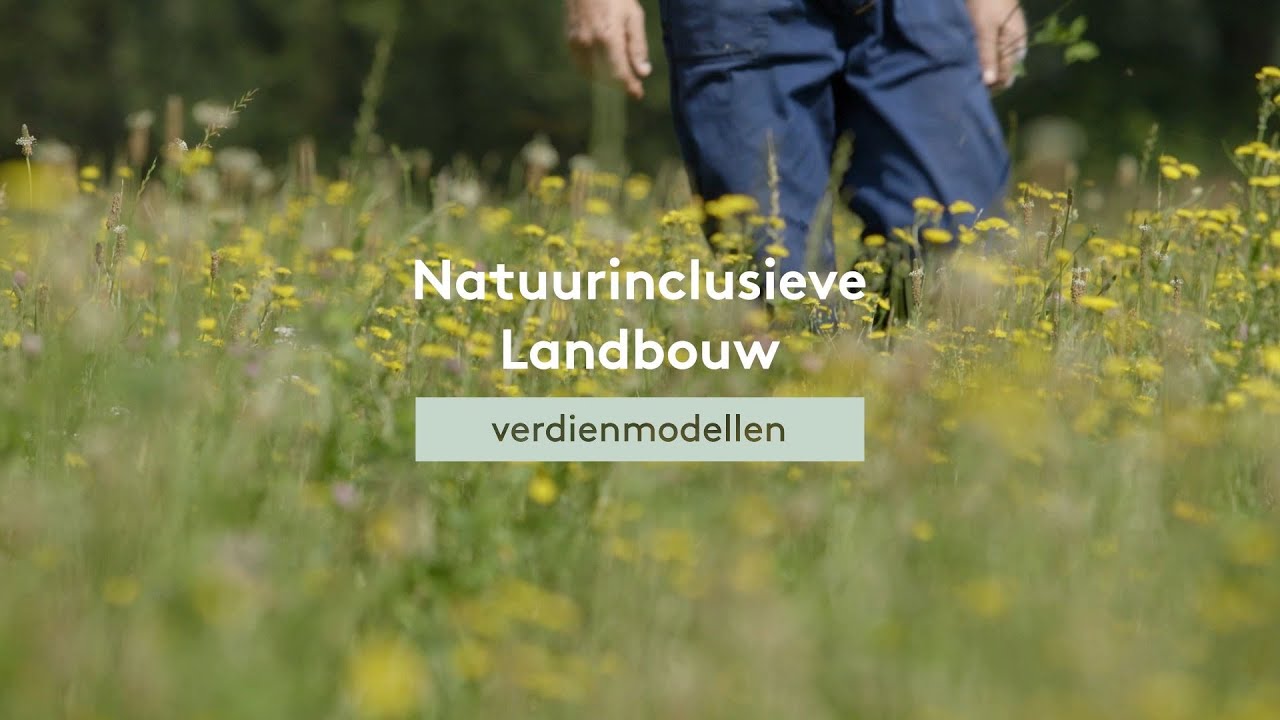 Natuurinclusieve landbouw: verdienmodellen