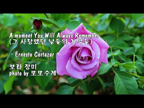 A moment You <strong>Will</strong> Always Remember (그 사랑했던 날들의 기억들) / Ernesto Cortazar &amp;<strong>amp</strong>; photo by 모모수계