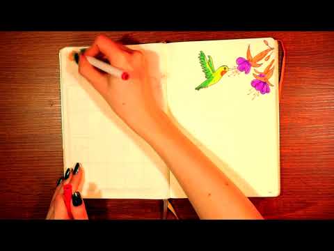Plan With Me / May Bullet Journal Setup / ASMR Whispered