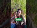 Who's Dat Girl by Ayra Starr and Rema, freestyle #freestyle #afrobeat @MavinRecords