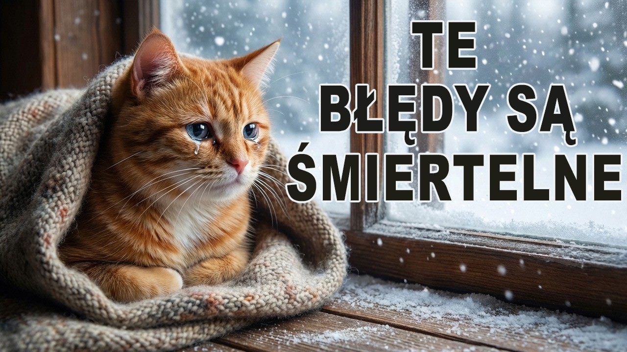 Proszę, PRZESTAŃ Robić TE Błędy Zimą ze Swoim Kotem!