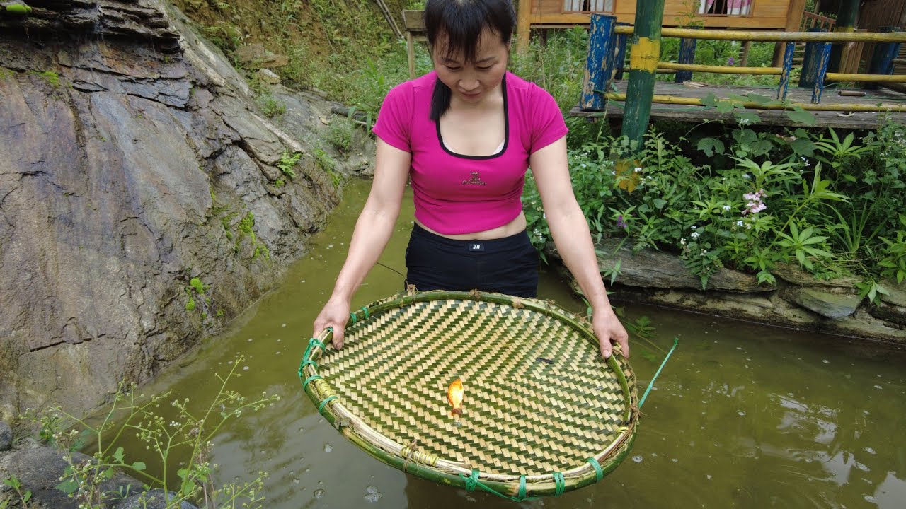 Girl weaves bamboo basket from bamboo and uses it to catch fish ...