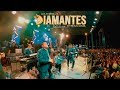 Los Diamantes de Valencia - El Domingo se hizo pa beber Volumen 19 En Vivo