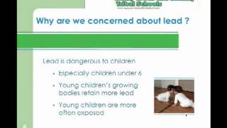 Lead-Based Paint Renovation, Repair and Painting Rule