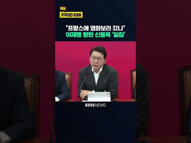 "프랑스에 영화보러 갔나" 이재명 대통령 향한 신동욱 '일침' / KNN