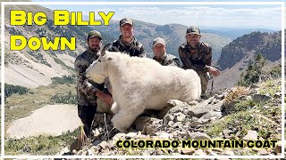 Big Billy Colorado Mountain Goat