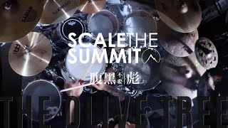 Scale The Summit - The Olive Tree(1-take Drum Cover-Biao.Z)full #djent #progressive #metal #drums