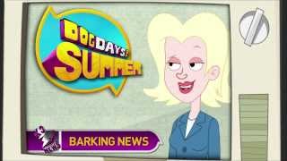 Dog Days Of Summer Pound Puppies Promo - Hub Network
