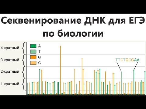 Секвенирование ДНК для ЕГЭ по биологии