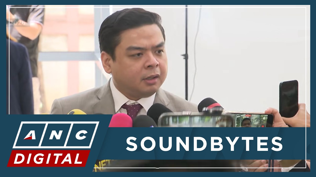 Atty Ridon FULL: Rep. Terry Ridon weighs in on VP Sara's latest SC petition to ...