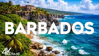 Top 10 Best Things To Do In Barbados Barbados Travel Guide 2026
