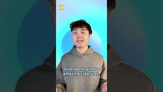 A trip for bird photography!