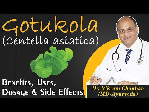 Vídeo: Informació de la planta de Gotu Kola: com cultivar Gotu Kola al jardí