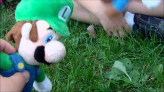 TanookiBros - Mario and Luigi's Outdoor Fun