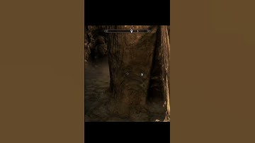 Remember arvel the swift from skyrim?