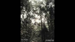 MichaelZhou - ภาพถ่าย(POHTO) [Official Audio]