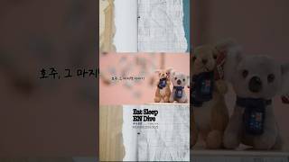 ENHYPEN '먹고 자고 빠지고 in 호주' TRAVEL BOOK COMMENTARY TEASER