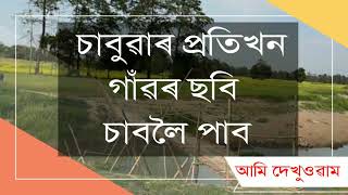 Chabua Report News Concept Village Story