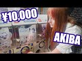 ¥10,000 Gachapon Hunt in AKIHABARA