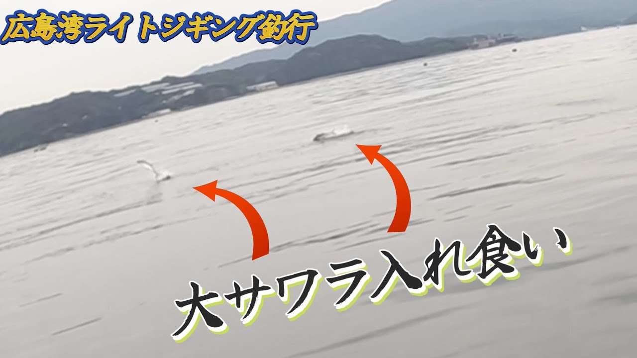 【衝撃】大サワラ乱舞！！こんなにサワラ爆釣するなんて・・